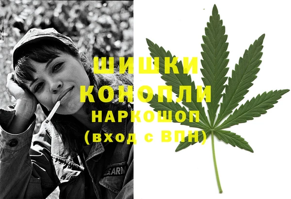 прущие крисы Беломорск